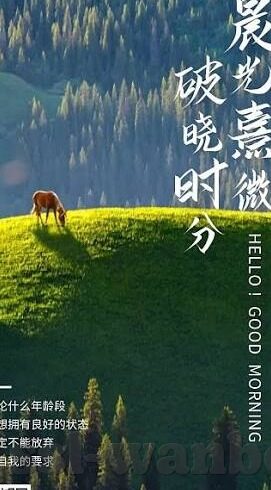 球探比分足球预测比分-深度解密，球探比分如何成为足球预测的秘密武器？